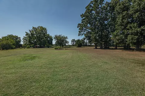 Exterior - 330 Cedar View Ln, Clever, MO 65631 photo 8 of 14