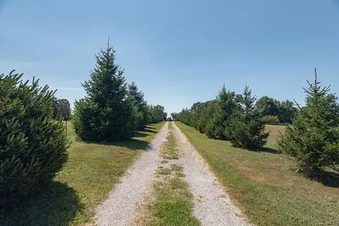 Other - 330 Cedar View Ln, Clever, MO 65631 photo 6 of 14