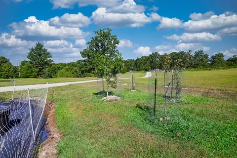 Other - 286 County Road 615b, Gainesville, MO 65655 photo 17 of 19