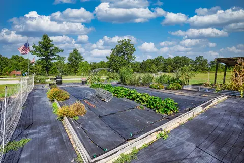 Other - 286 County Road 615b, Gainesville, MO 65655 photo 14 of 19