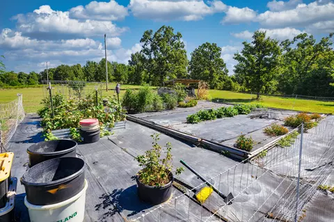 View/Area - 286 County Road 615b, Gainesville, MO 65655 photo 4 of 5