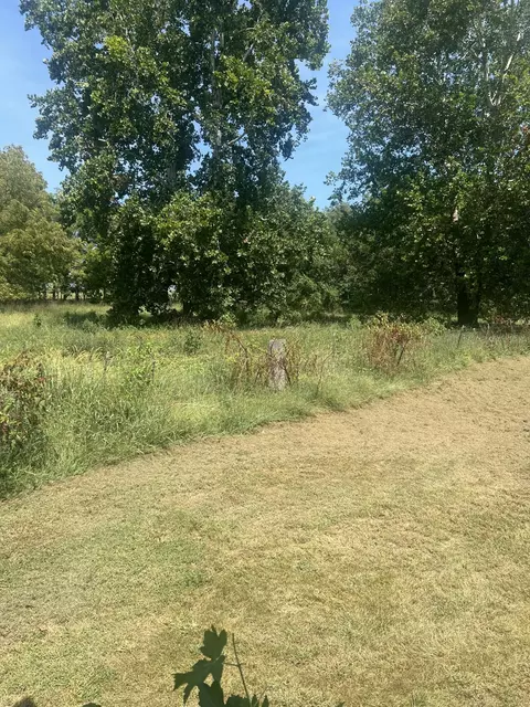 Other - 1759 E 555th Rd, Brighton, MO 65617 photo 2 of 5