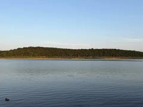 170 Deadend Dr, Cedarcreek, MO 65627 photo 8