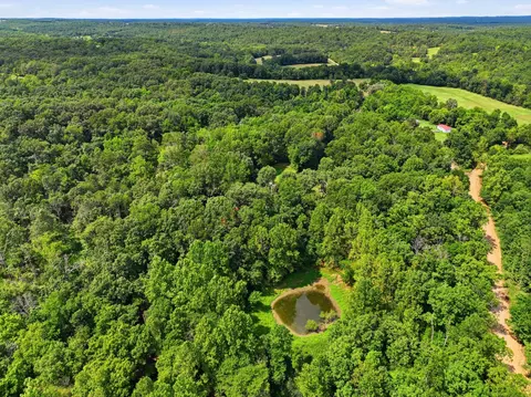 View/Area - 3320 County Road 328, Thayer, MO 65791 photo 6 of 6