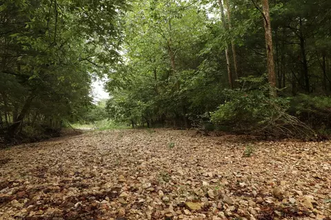 3394 Chadwick Road Rd, Chadwick, MO 65629 photo 33