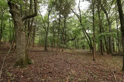 3394 Chadwick Road Rd, Chadwick, MO 65629 photo 38