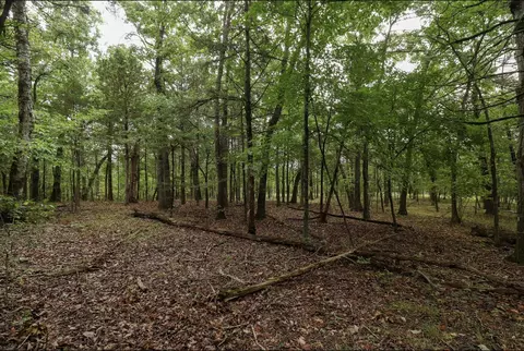 3394 Chadwick Road Rd, Chadwick, MO 65629 photo 36