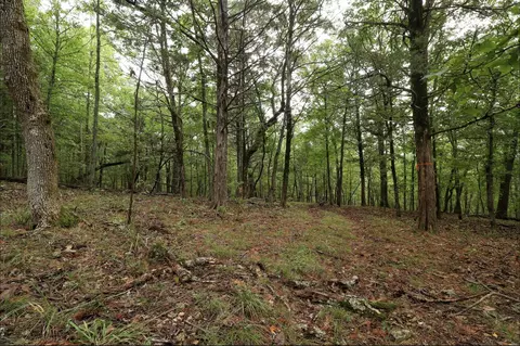 3394 Chadwick Road Rd, Chadwick, MO 65629 photo 42