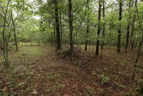 3394 Chadwick Road Rd, Chadwick, MO 65629 photo 41