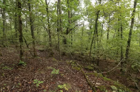 3394 Chadwick Road Rd, Chadwick, MO 65629 photo 43