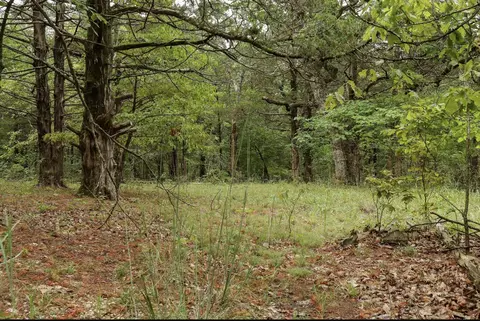 3394 Chadwick Road Rd, Chadwick, MO 65629 photo 29