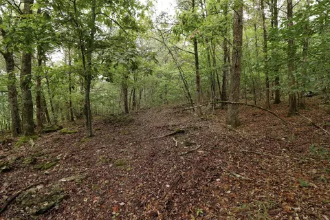 3394 Chadwick Road Rd, Chadwick, MO 65629 photo 39