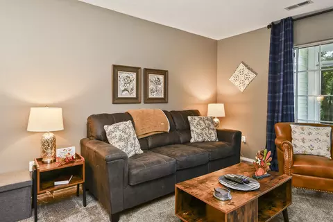 Living - 120 Spring Creek Ct #2, Branson, MO 65616 photo 5 of 6