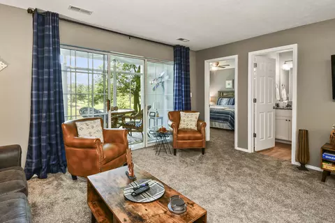 Living - 120 Spring Creek Ct #2, Branson, MO 65616 photo 2 of 6