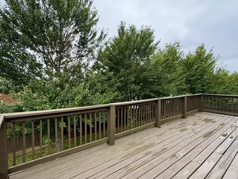 Exterior - 1003 N 23rd Ave, Ozark, MO 65721 photo 12 of 18