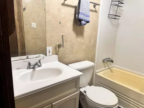 Bath - 37 Clear Brook Ln, Tunas, MO 65764 photo 3 of 4