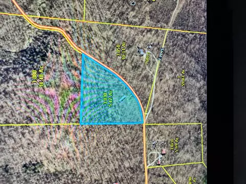 Other - 37 Clear Brook Ln, Tunas, MO 65764 photo 4 of 4