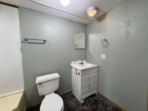 Bath - 37 Clear Brook Ln, Tunas, MO 65764 photo 2 of 4