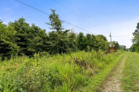 lot11 Frisco Rd, Galena, MO 65656 photo 5