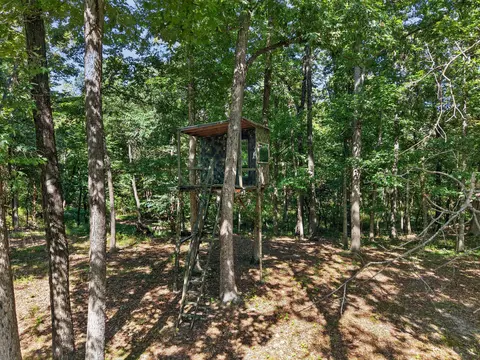 Exterior - 4733 E Farm Road 66, Springfield, MO 65803 photo 3 of 12