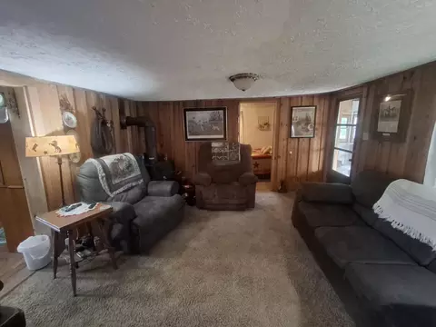 Living - 779 State Route Cc, Dora, MO 65637 photo 1 of 2
