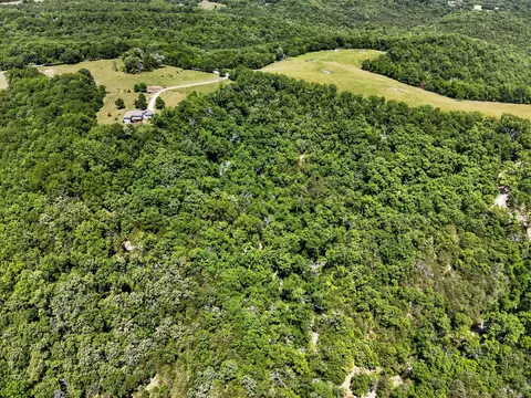 View/Area - 1424 Chadwick Rd, Chadwick, MO 65629 photo 10 of 15