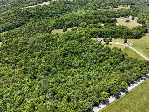 View/Area - 1424 Chadwick Rd, Chadwick, MO 65629 photo 11 of 15