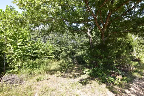 000 Deckard Rd, Fordland, MO 65652 photo 5