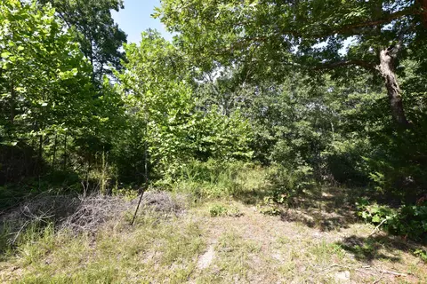 000 Deckard Rd, Fordland, MO 65652 photo 4