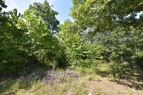 000 Deckard Rd, Fordland, MO 65652 photo 3