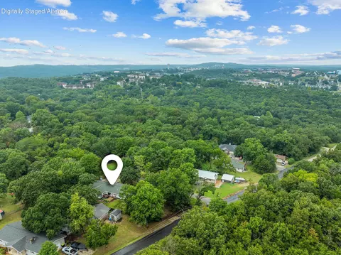View/Area - 139 Grape Ln, Branson, MO 65616 photo 3 of 11