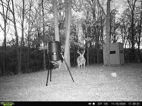 Other - 3699 Highway M, Cabool, MO 65689 photo 20 of 23