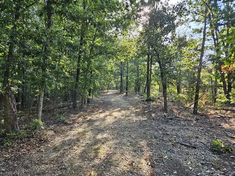 Other - 3699 Highway M, Cabool, MO 65689 photo 18 of 23