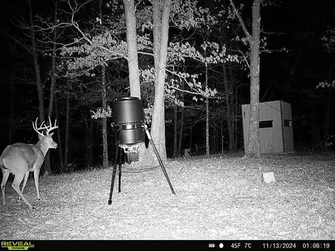 Other - 3699 Highway M, Cabool, MO 65689 photo 21 of 23