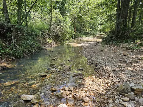 Other - 3699 Highway M, Cabool, MO 65689 photo 15 of 23