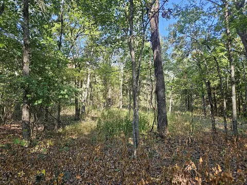 Exterior - 3699 Highway M, Cabool, MO 65689 photo 19 of 28