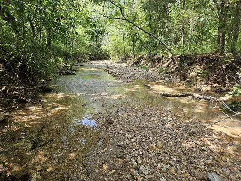 Other - 3699 Highway M, Cabool, MO 65689 photo 2 of 23