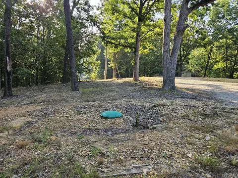 Exterior - 3699 Highway M, Cabool, MO 65689 photo 2 of 28