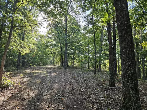 Exterior - 3699 Highway M, Cabool, MO 65689 photo 21 of 28
