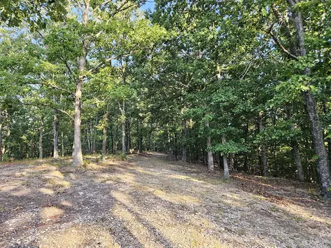 Exterior - 3699 Highway M, Cabool, MO 65689 photo 25 of 28