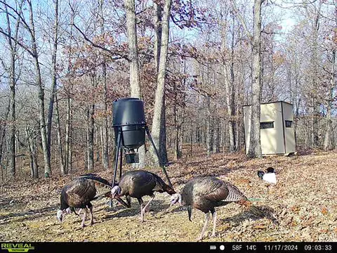 Other - 3699 Highway M, Cabool, MO 65689 photo 22 of 23