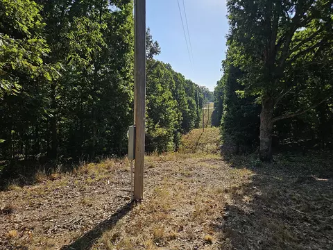 Other - 3699 Highway M, Cabool, MO 65689 photo 17 of 23
