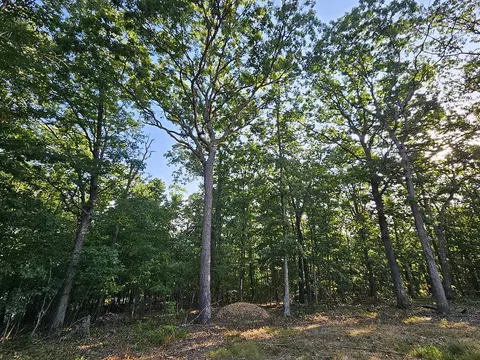 Exterior - 3699 Highway M, Cabool, MO 65689 photo 22 of 28