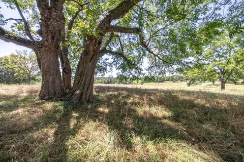000 Bamber St, Mammoth Spring, AR 72554 photo 39