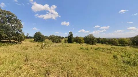 000 Bamber St, Mammoth Spring, AR 72554 photo 18