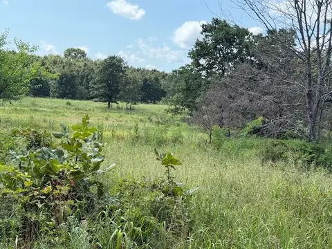 Other - 2285 County Road 437-b, Mountain View, MO 65548 photo 34 of 40