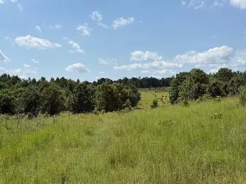 Other - 2285 County Road 437-b, Mountain View, MO 65548 photo 20 of 40