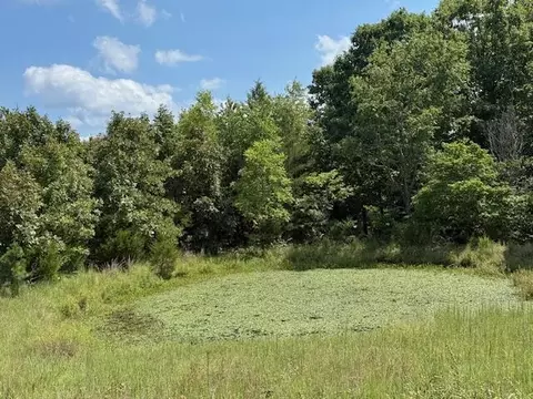 Other - 2285 County Road 437-b, Mountain View, MO 65548 photo 22 of 40
