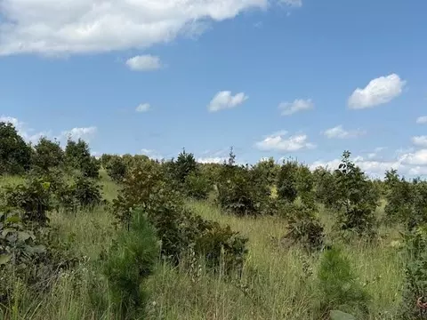 Other - 2285 County Road 437-b, Mountain View, MO 65548 photo 27 of 40