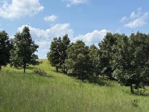 Other - 2285 County Road 437-b, Mountain View, MO 65548 photo 21 of 40